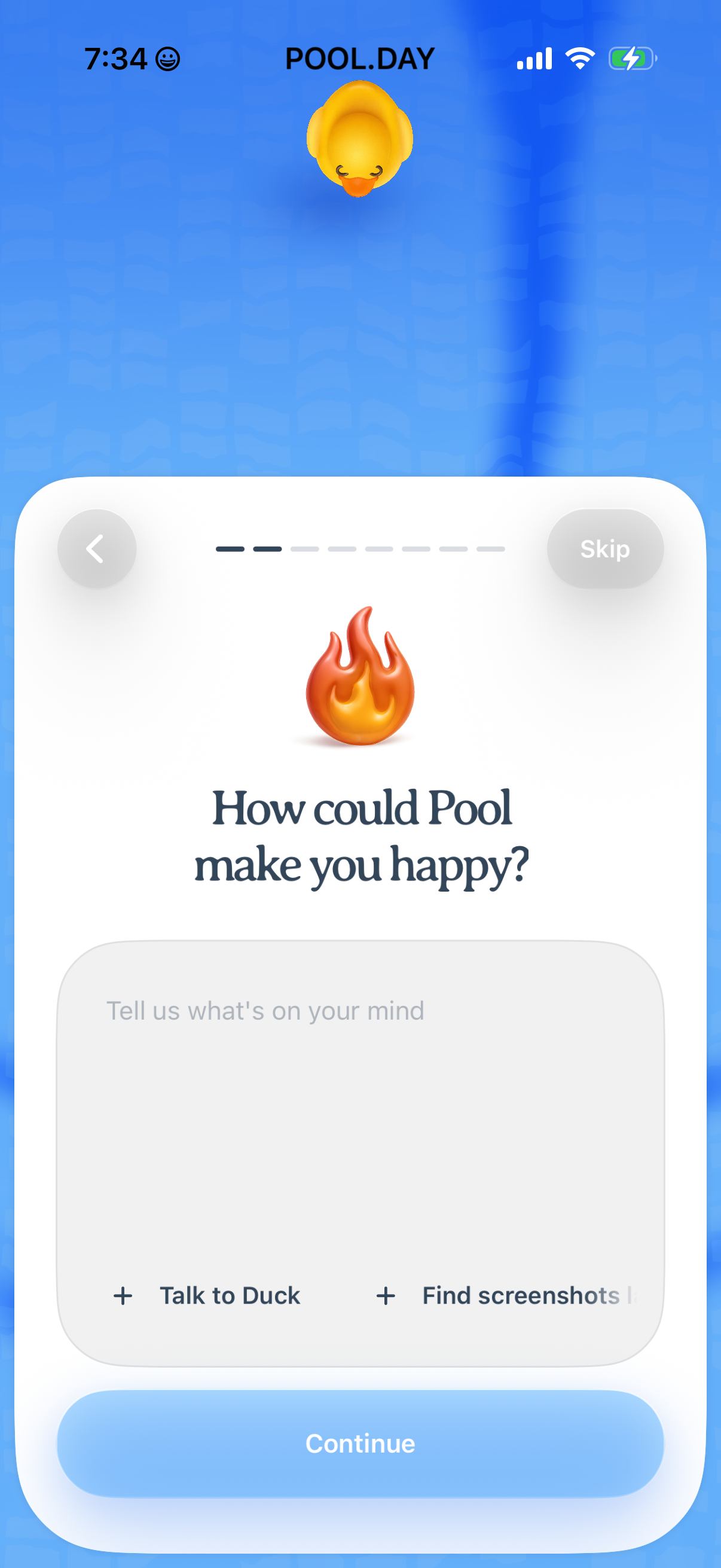 pool screen