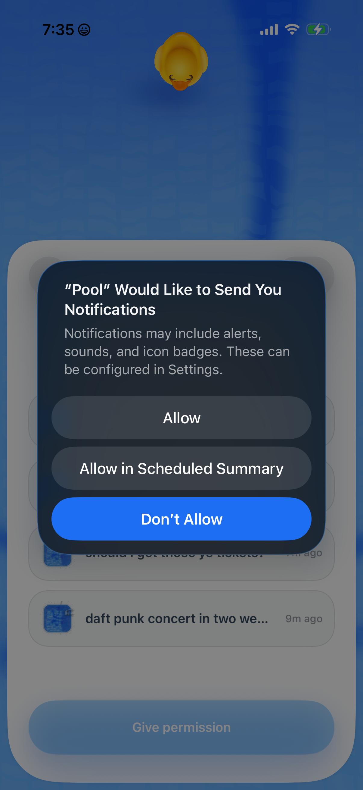 pool screen