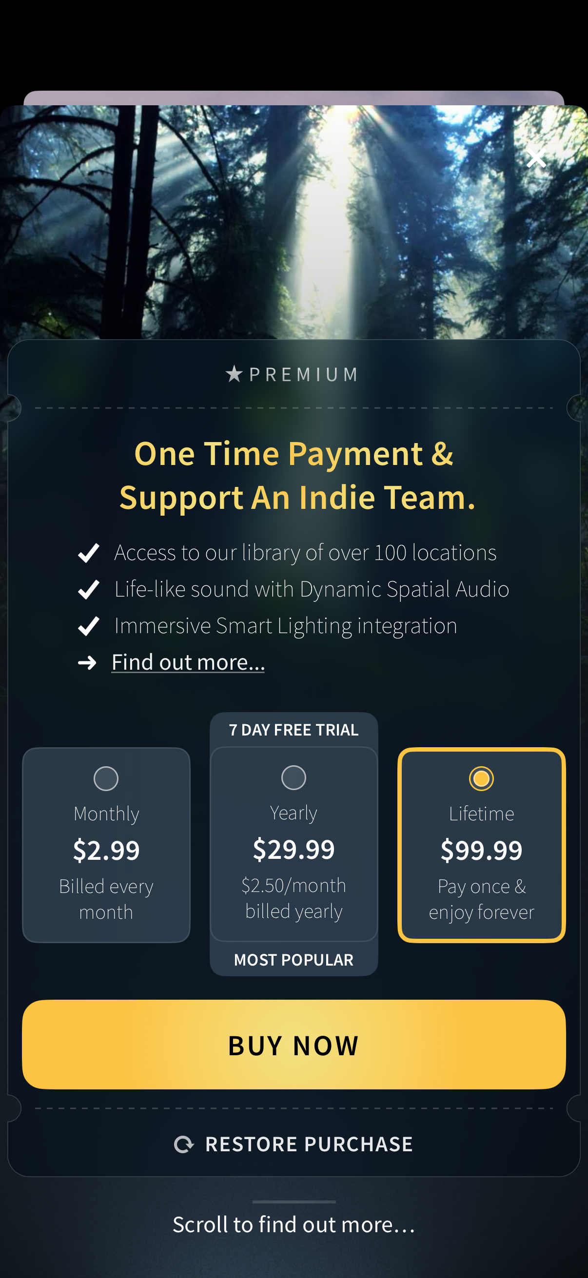 Step 1 of Portal Portal Lifetime Purchase