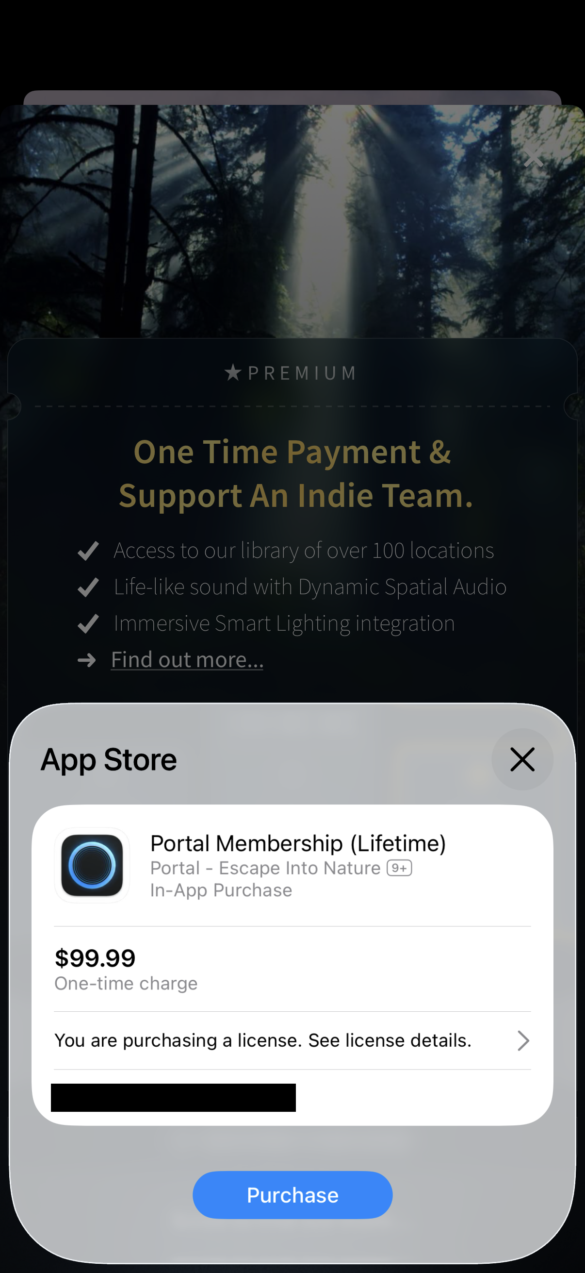 Step 2 of Portal Portal Lifetime Purchase