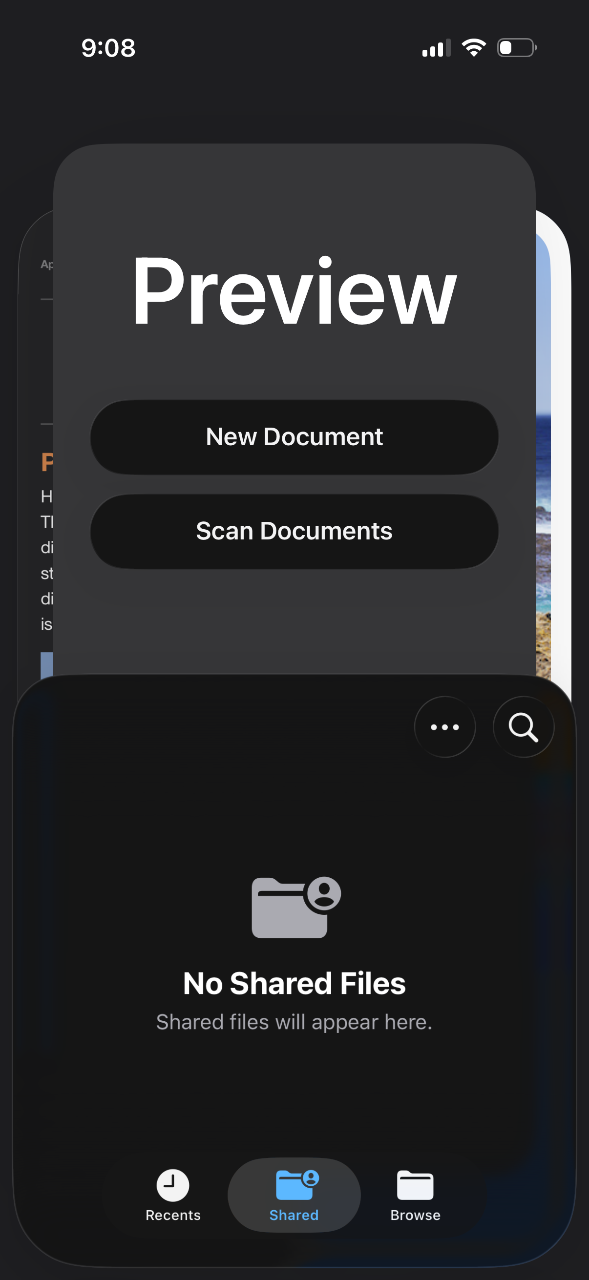 preview app screenshot 1
