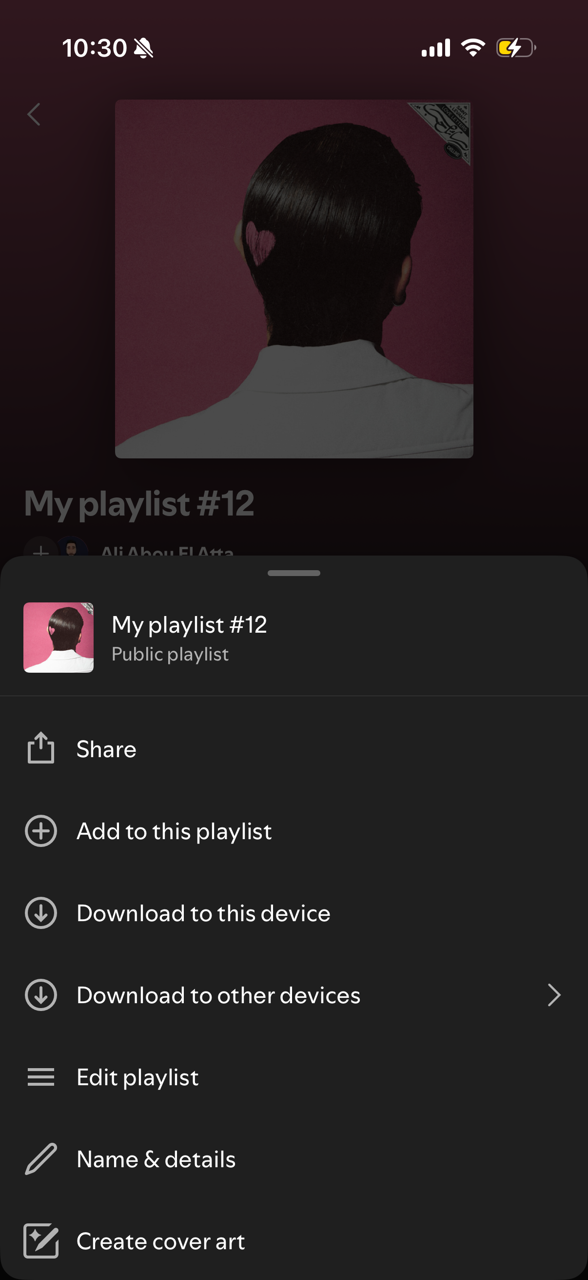 spotify app screenshot 8