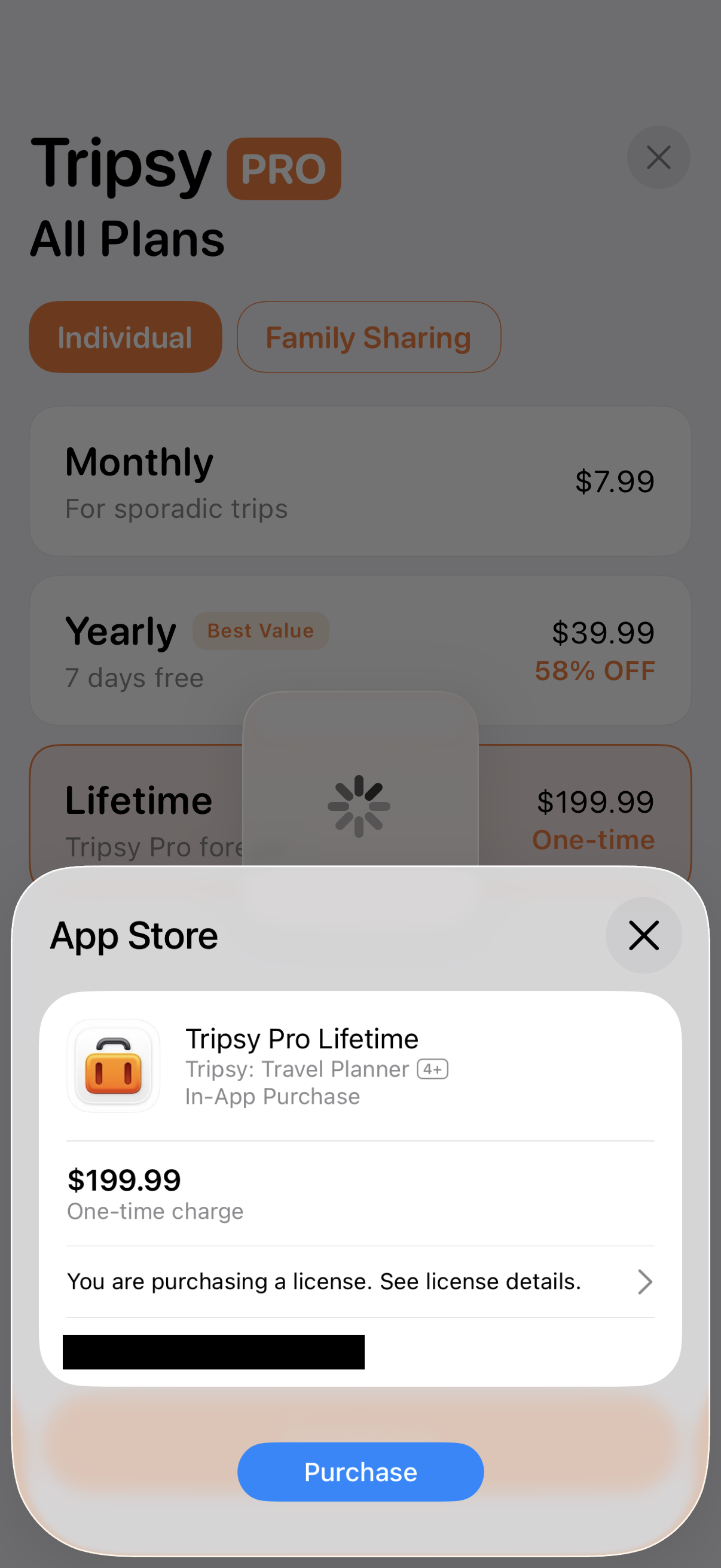 Step 3 of Tripsy Individual Lifetime Purchase