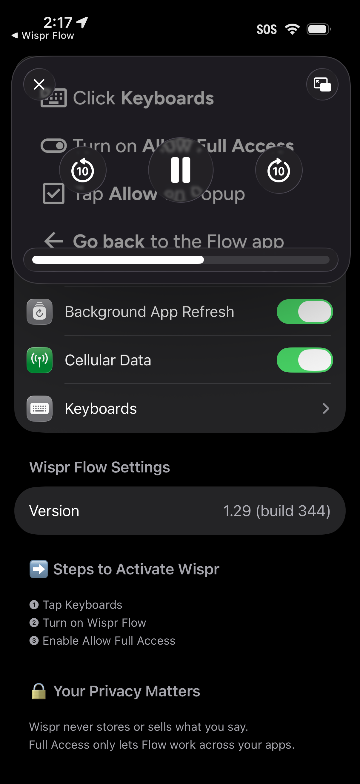 wisper-flow app screenshot 18