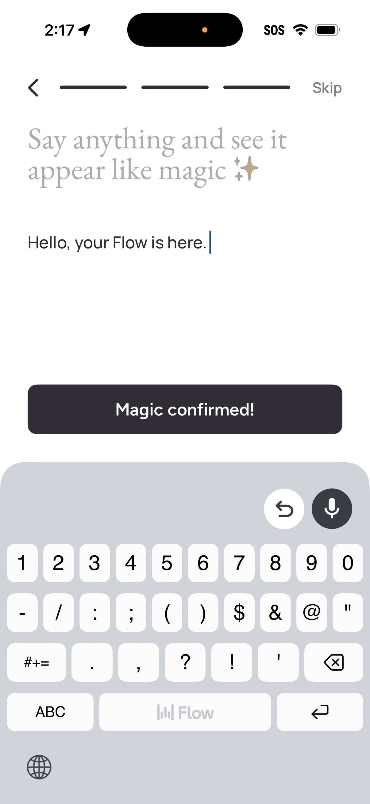 wisper-flow app screenshot 13