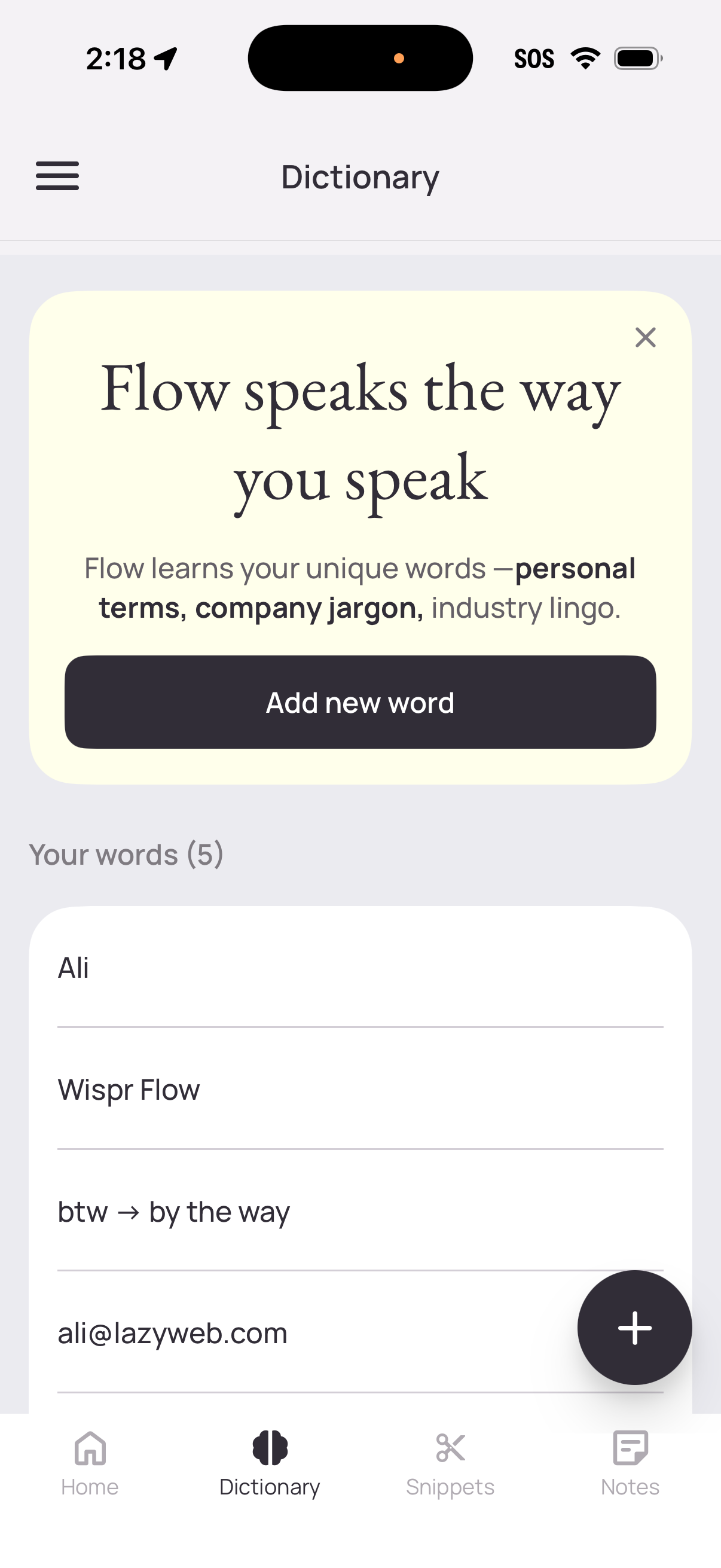wisper-flow app screenshot 6