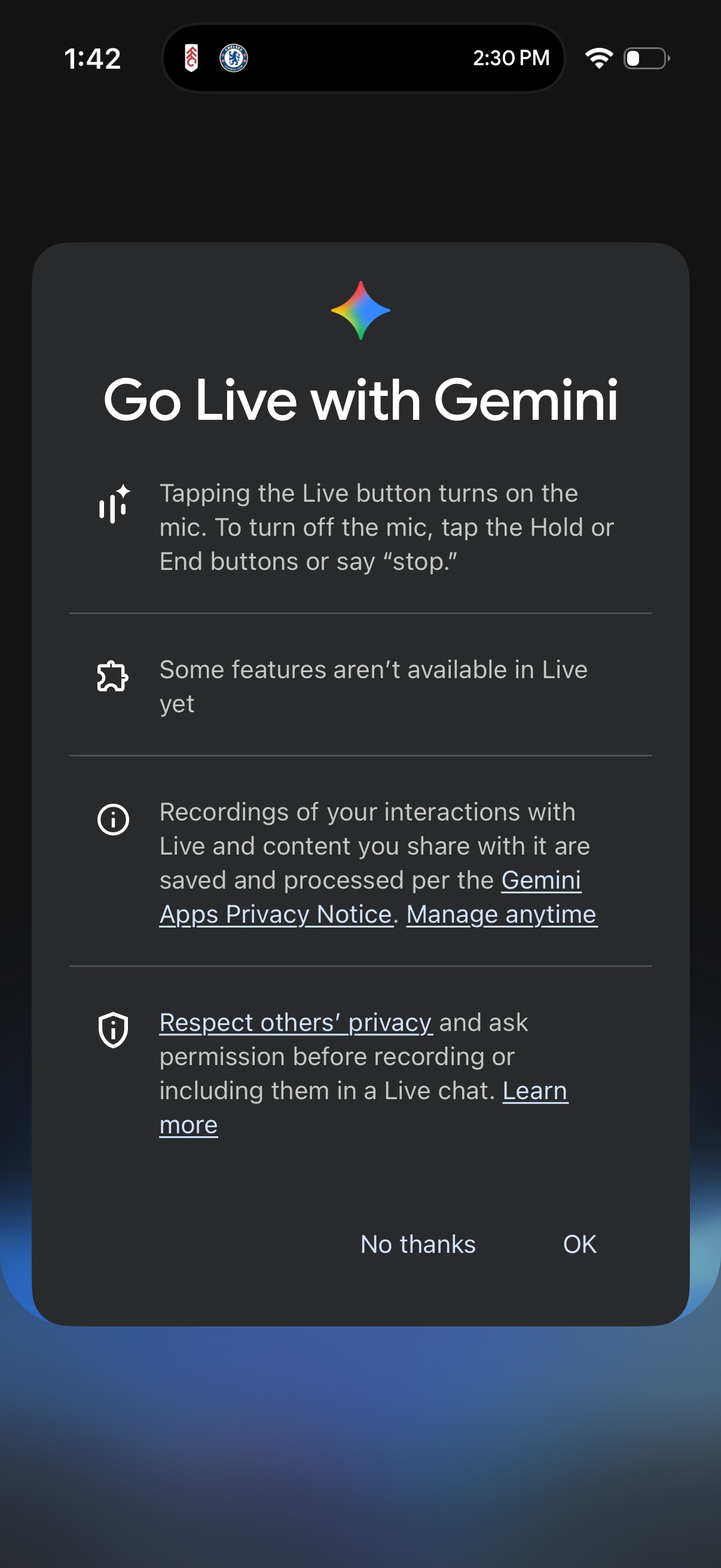 gemini app screenshot 15