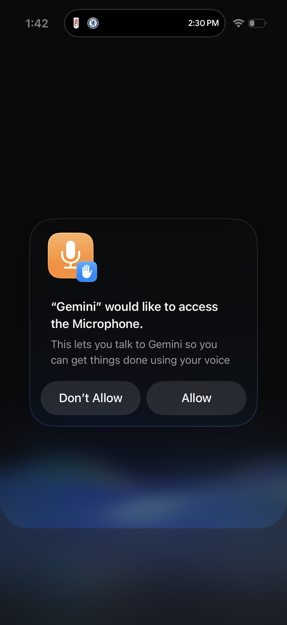 gemini app screenshot 14