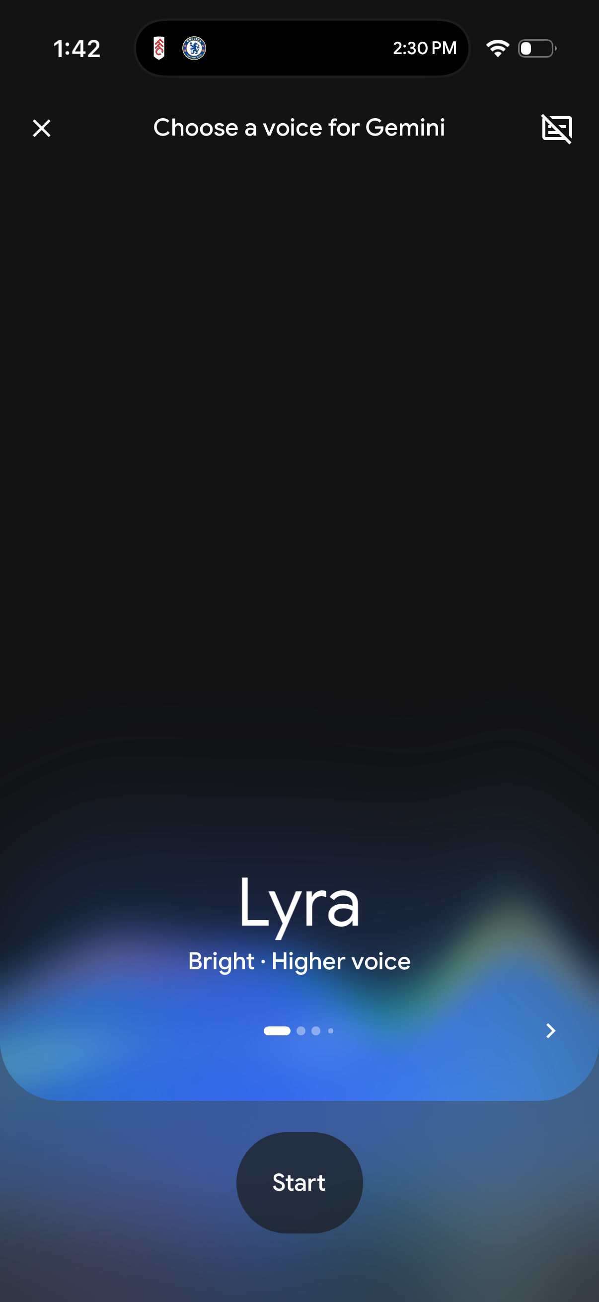 gemini app screenshot 13