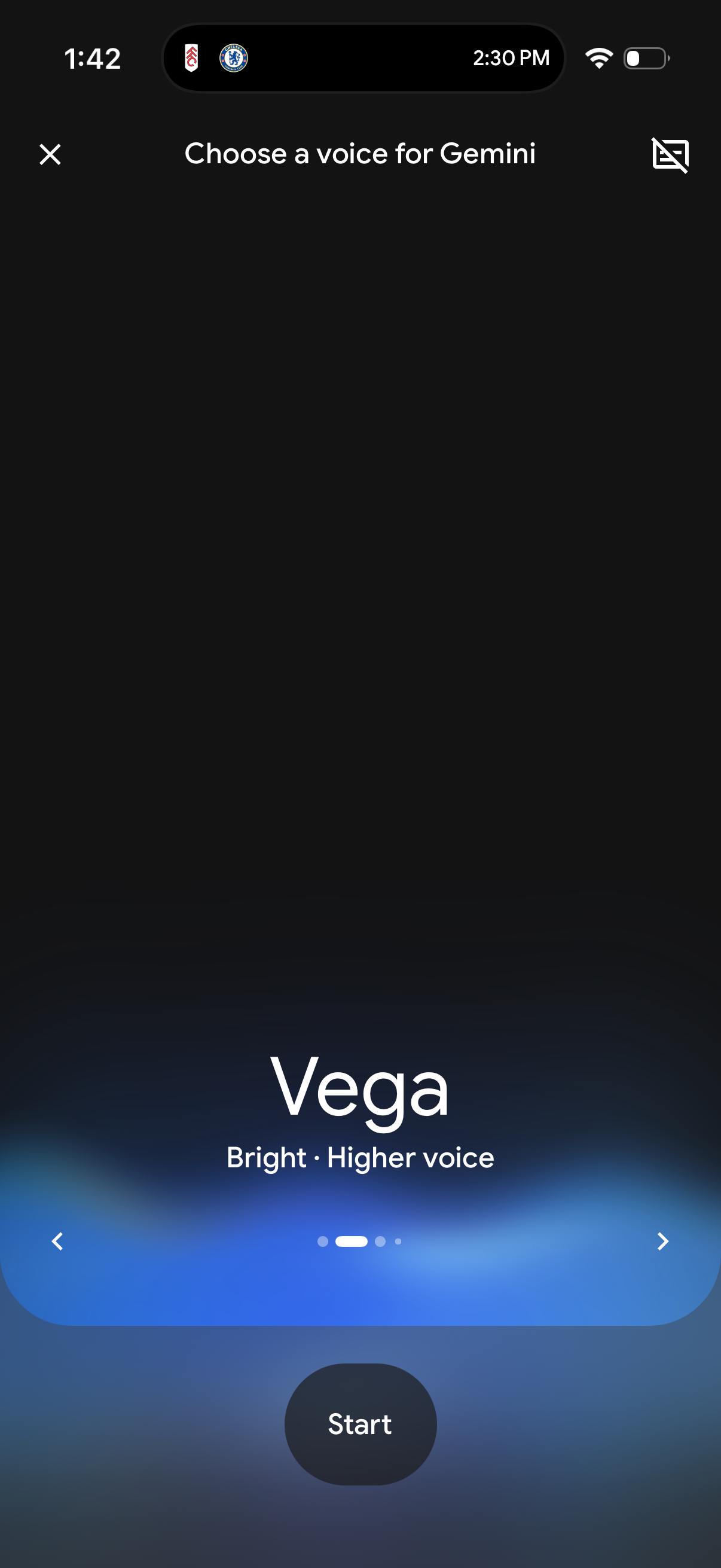 gemini app screenshot 12