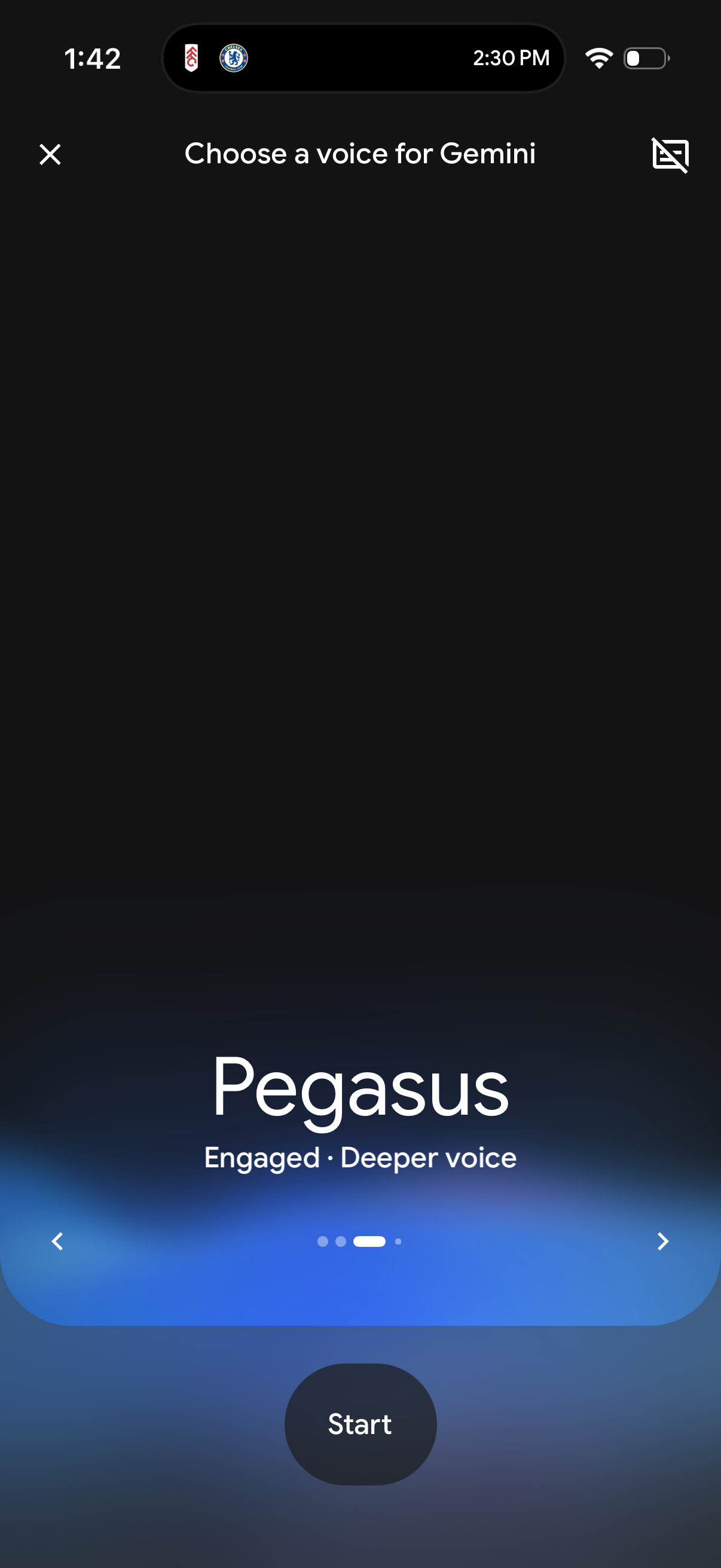 gemini app screenshot 11