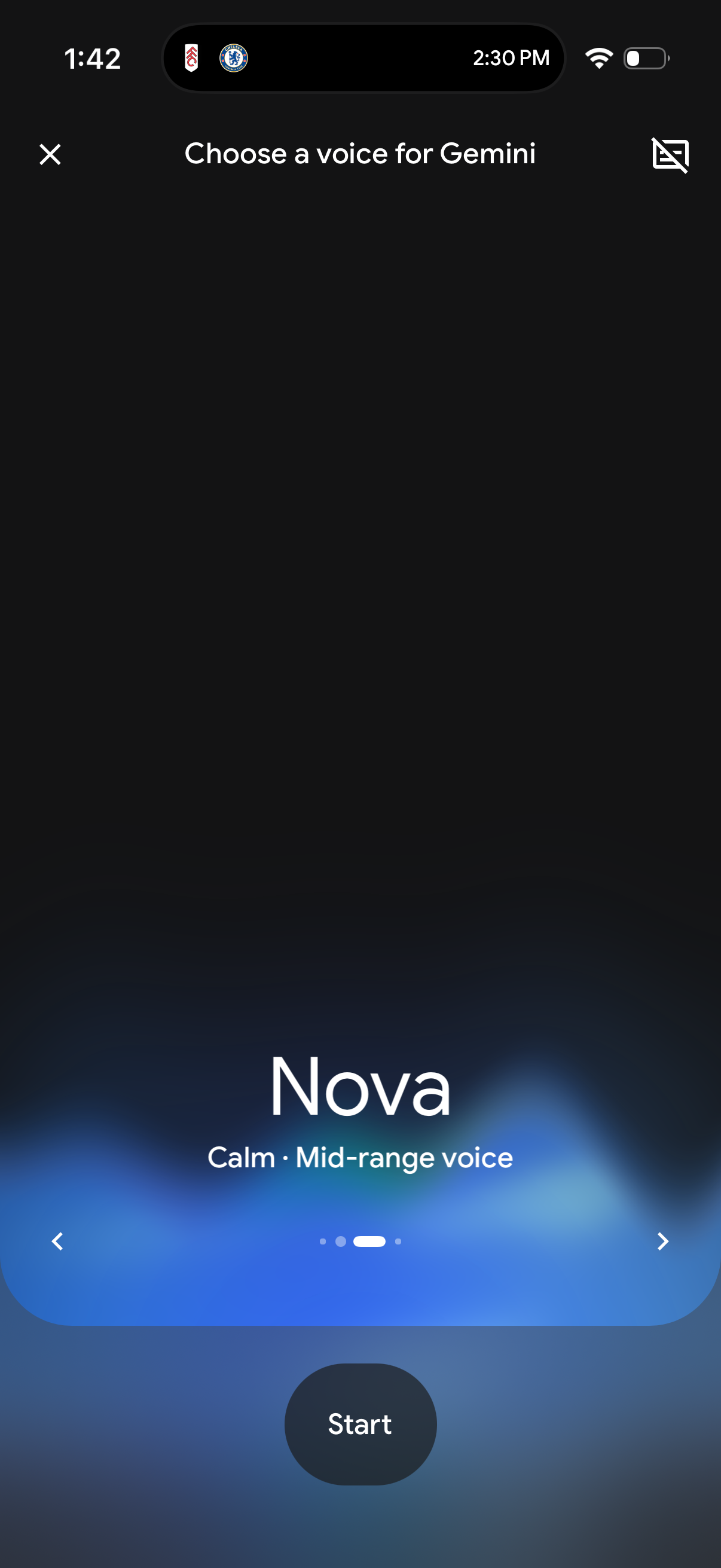 gemini app screenshot 10