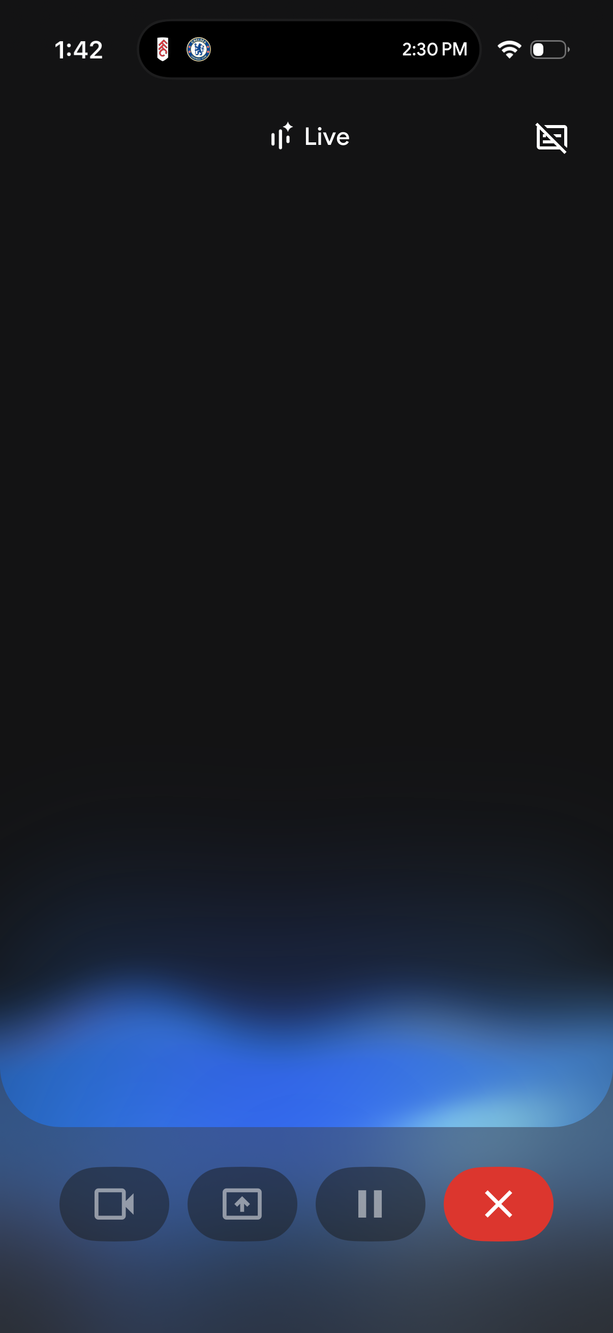 gemini app screenshot 9