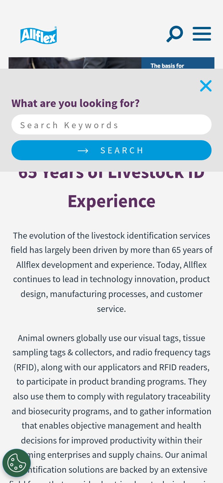 Mobile web annotations on the mobile capture