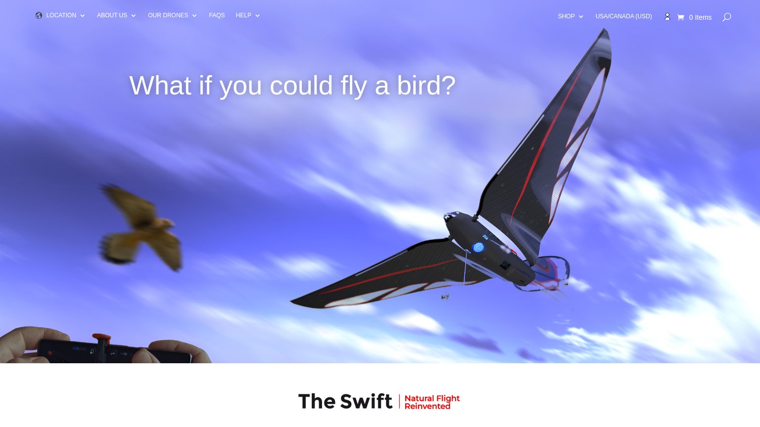 BionicBird desktop capture for Information hierarchy
