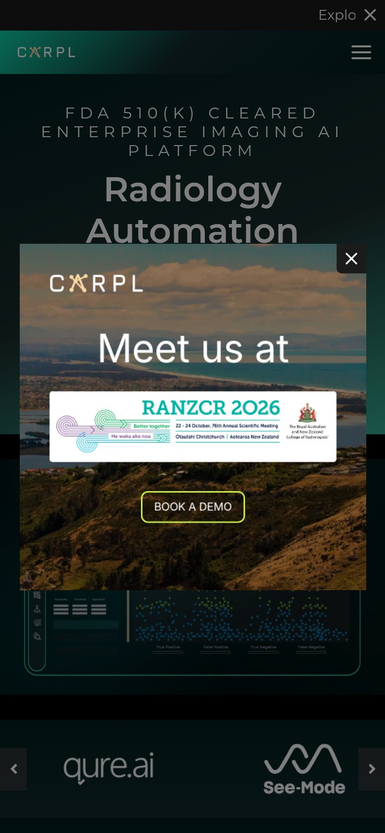 Mobile web annotations on the mobile capture