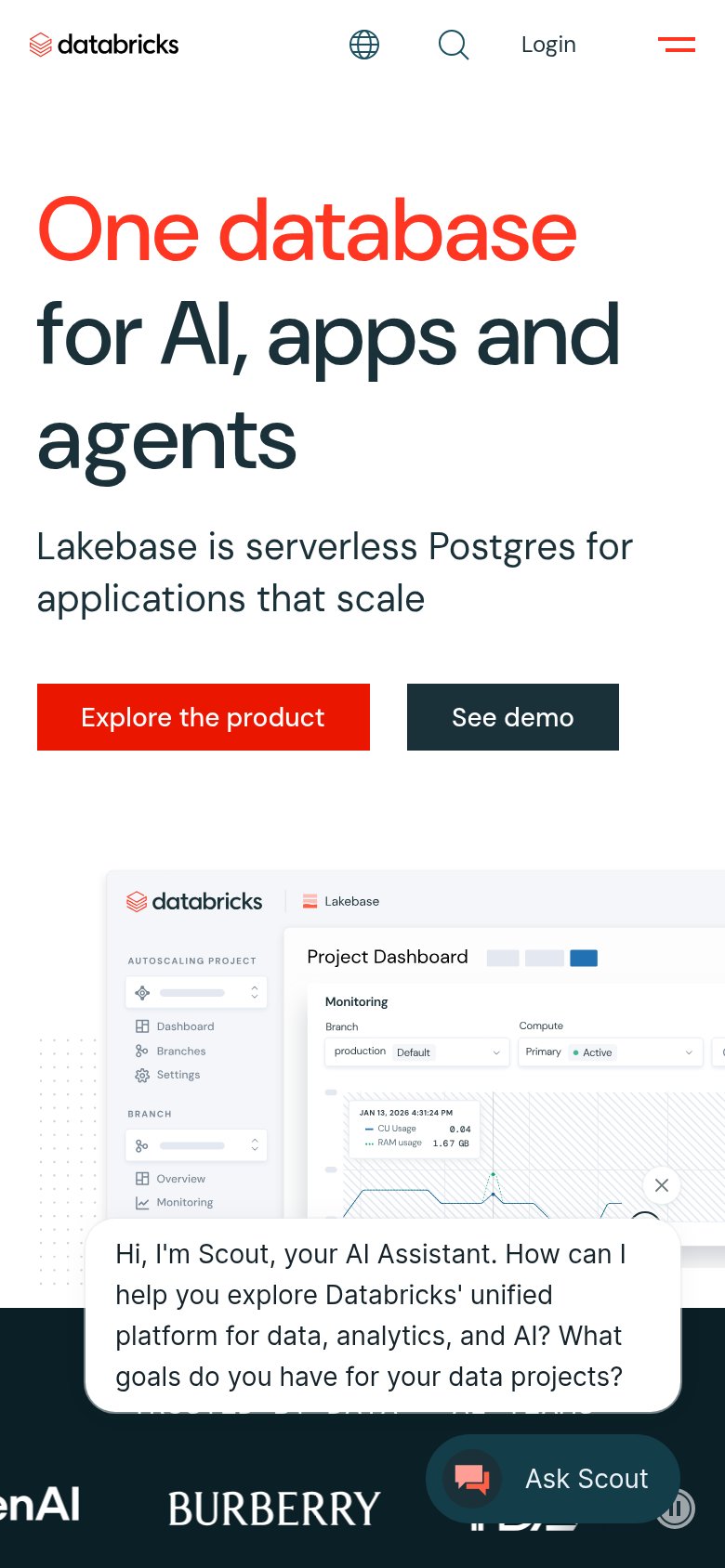 Databricks mobile capture for Mobile web