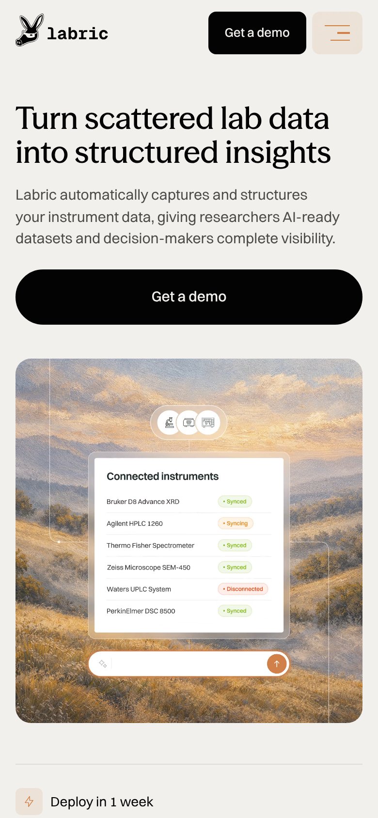 Labric mobile capture for Mobile web