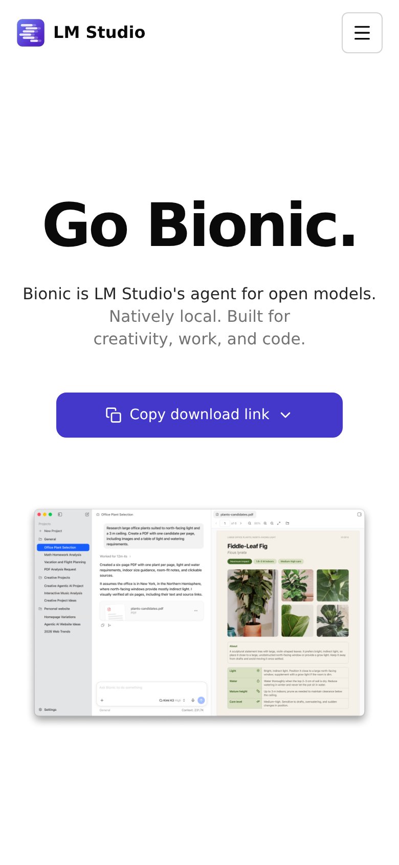 LM Studio mobile capture for Mobile web