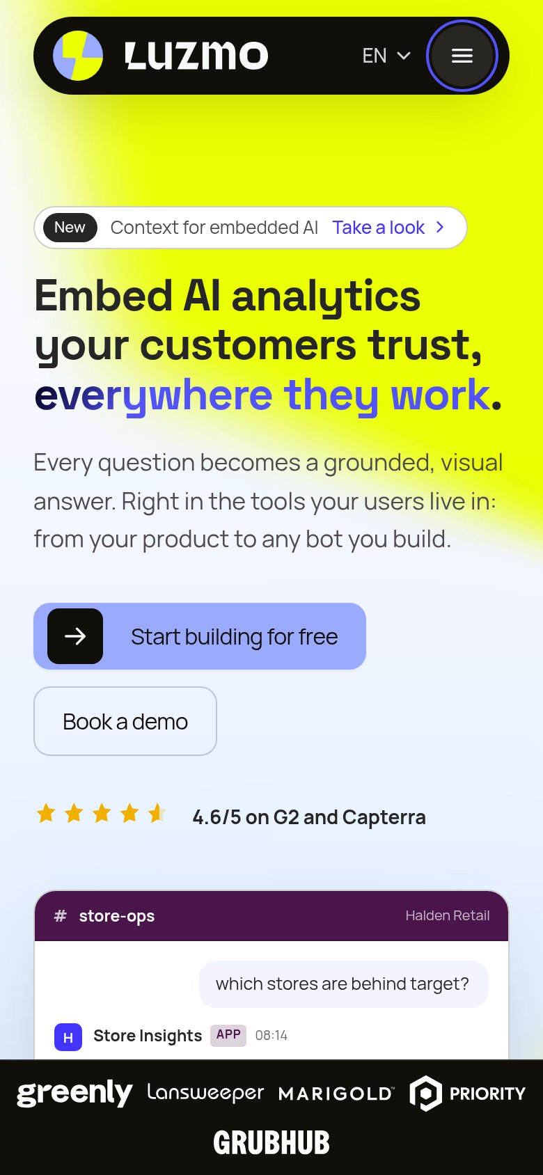 Luzmo mobile capture for Mobile web