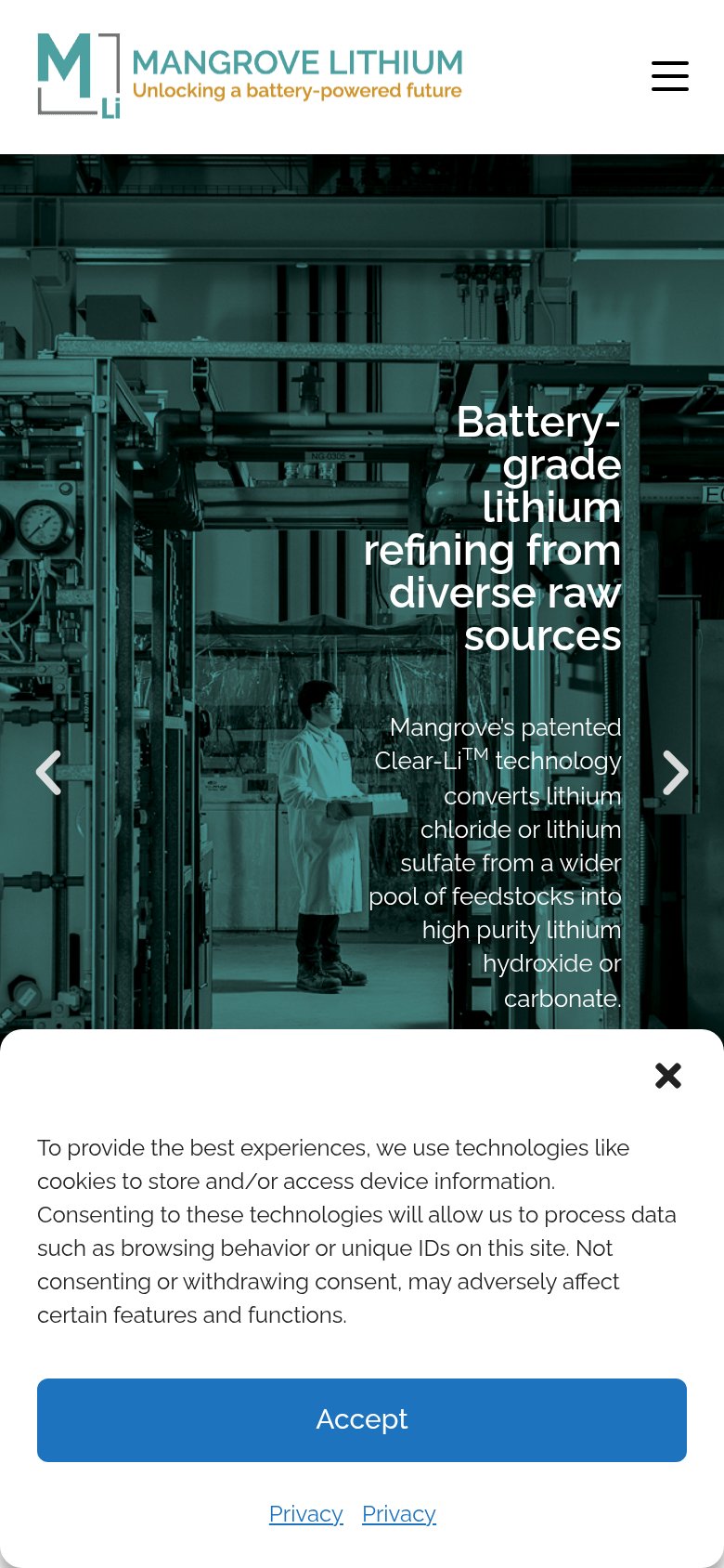 Mobile web annotations on the mobile capture