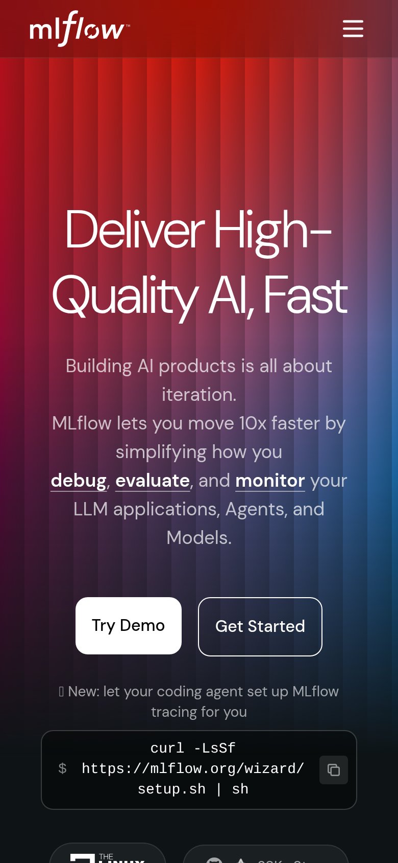Mobile web annotations on the mobile capture
