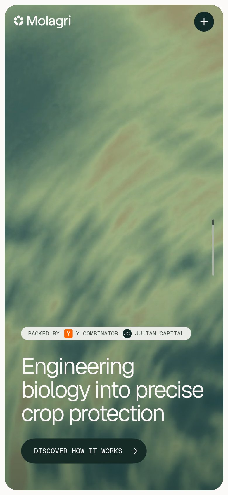 Mobile web annotations on the mobile capture
