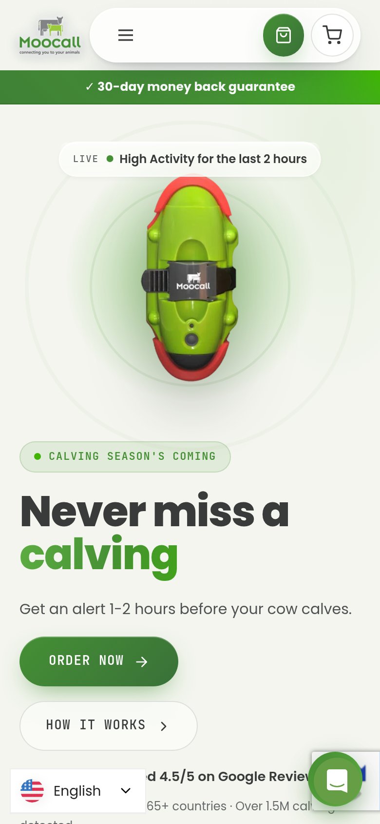 Mobile web annotations on the mobile capture