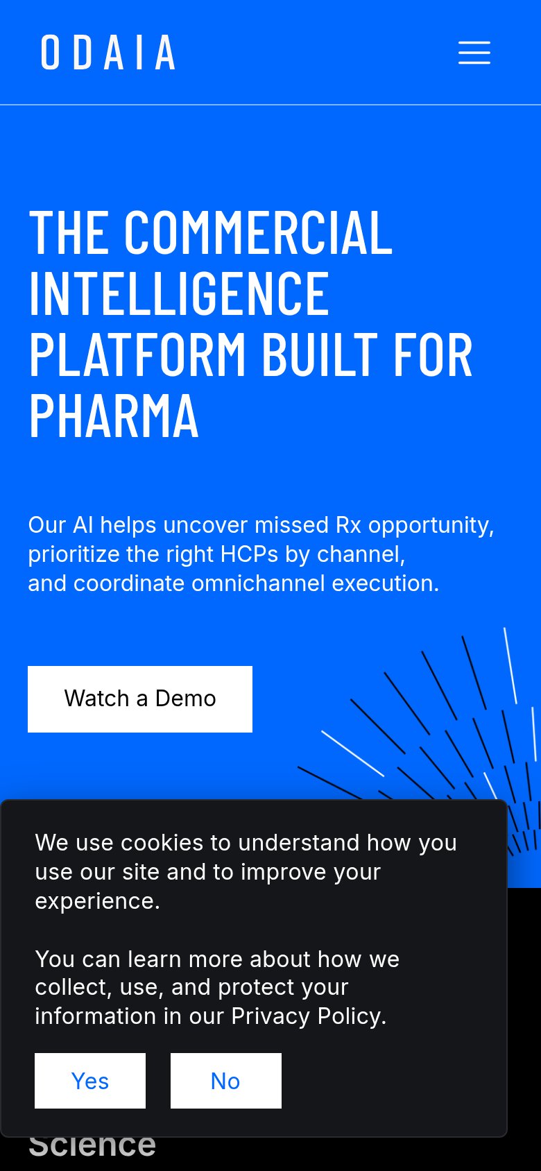 Mobile web annotations on the mobile capture