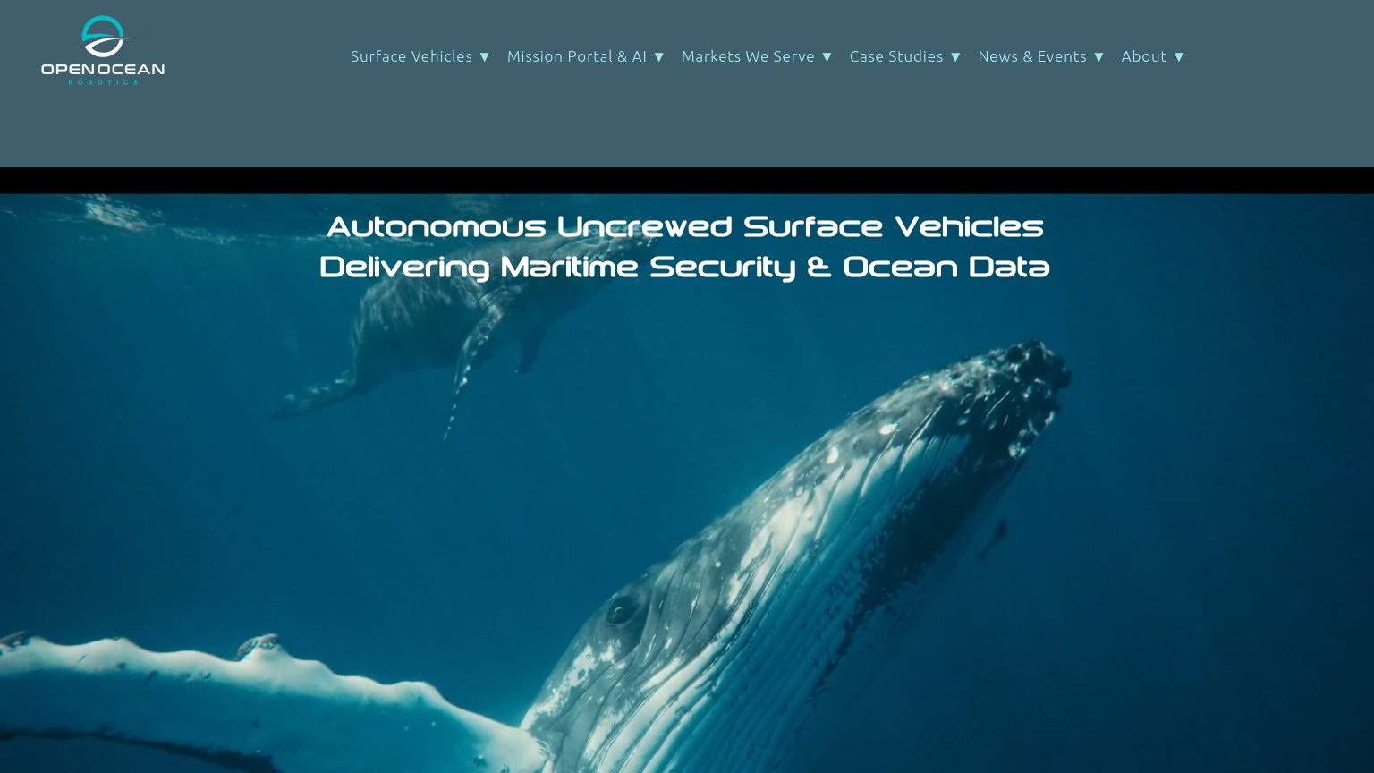 Open Ocean Robotics desktop capture for Information hierarchy