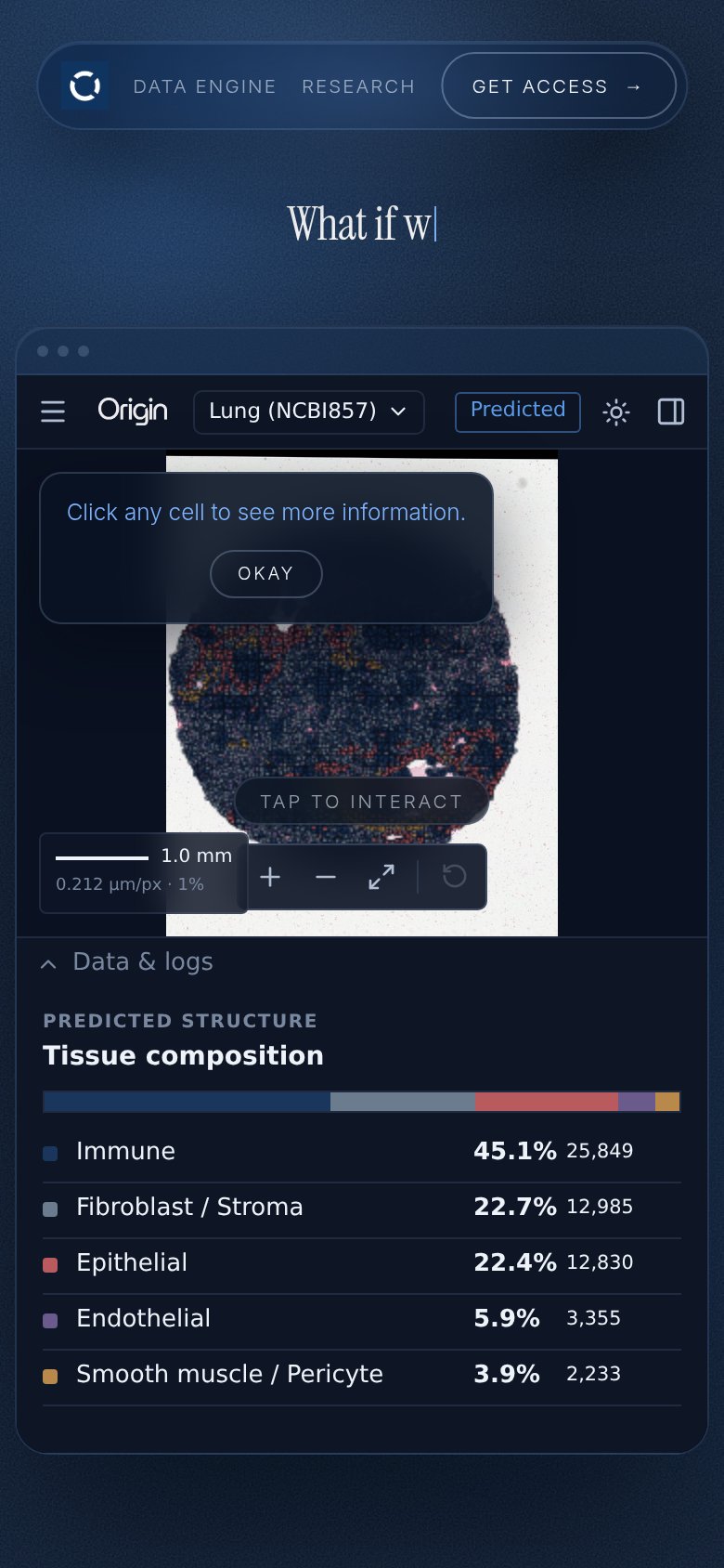 Mobile web annotations on the mobile capture