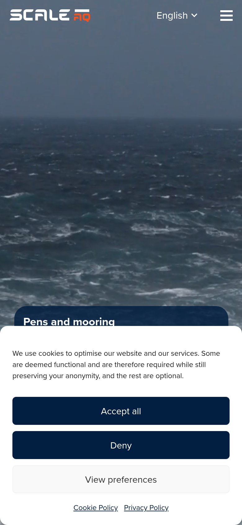Mobile web annotations on the mobile capture