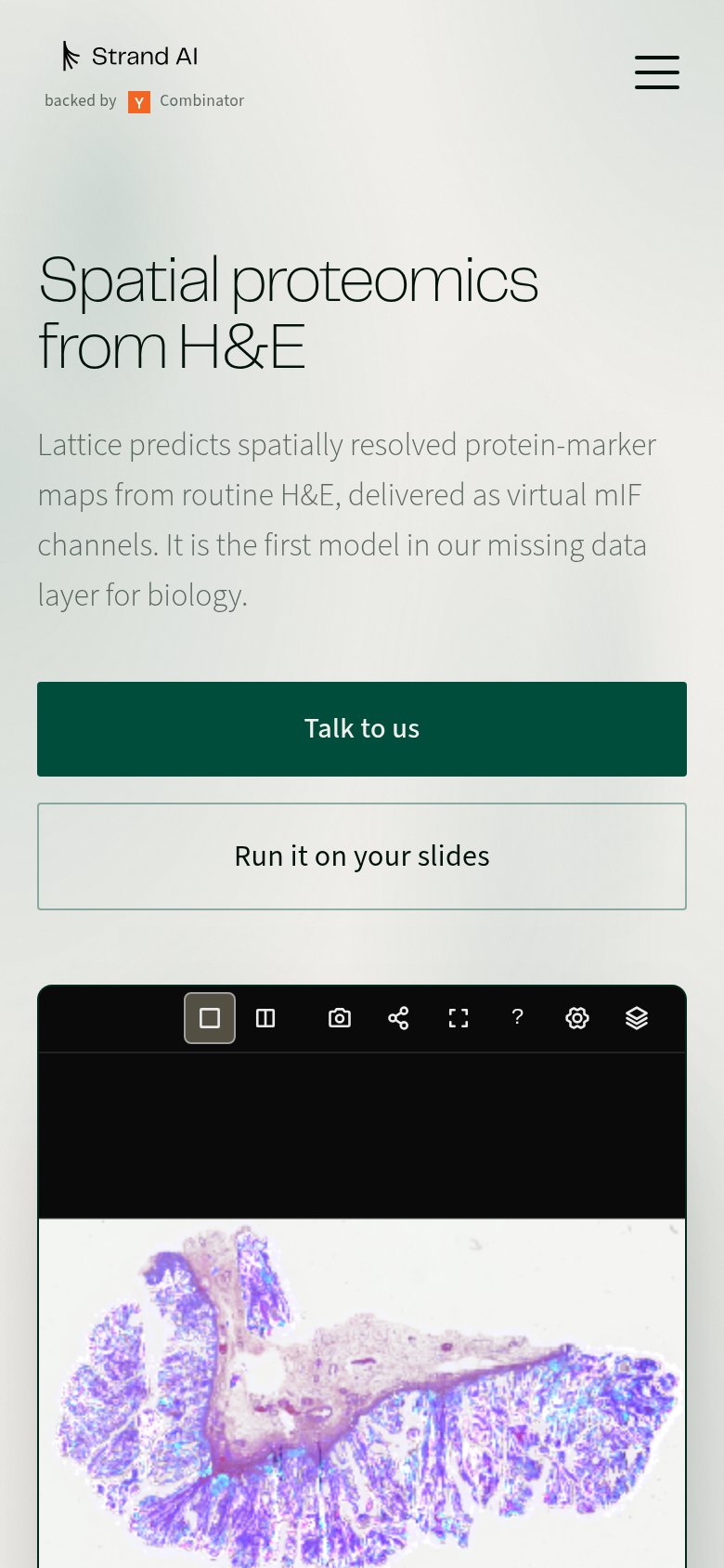 Mobile web annotations on the mobile capture