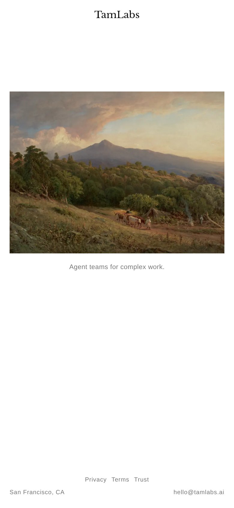 Mobile web annotations on the mobile capture