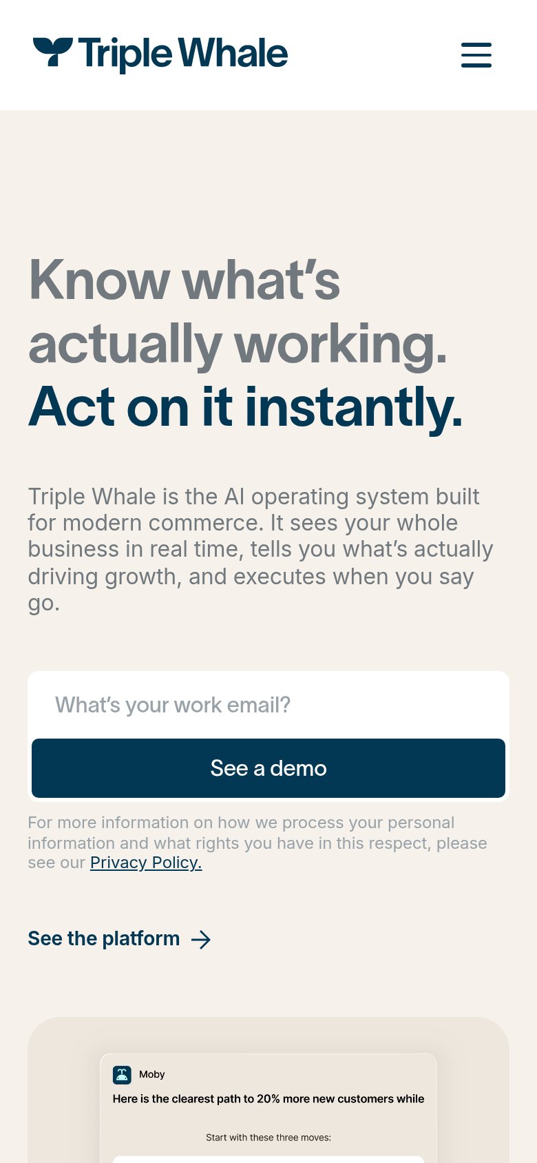 Triple Whale mobile capture for Mobile web