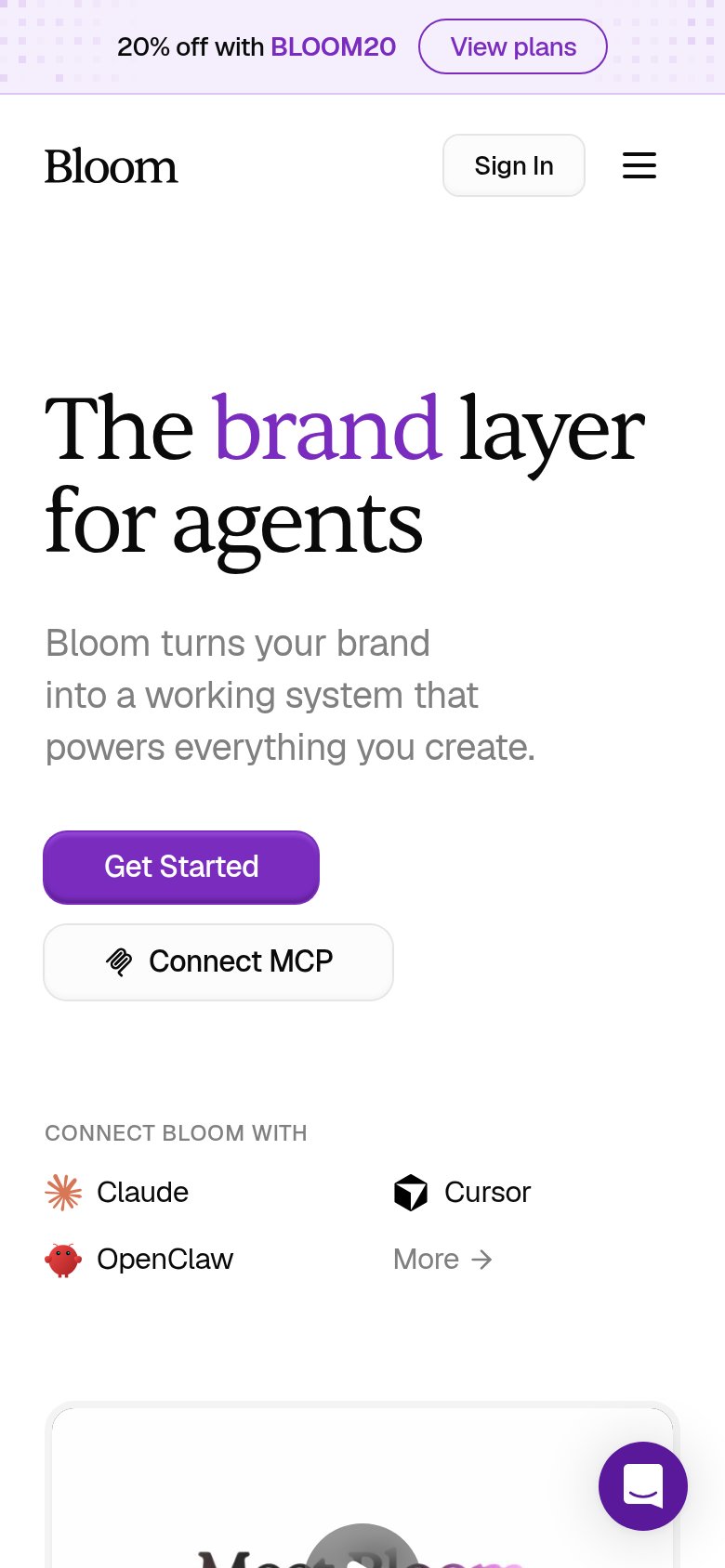 Mobile web annotations on the mobile capture
