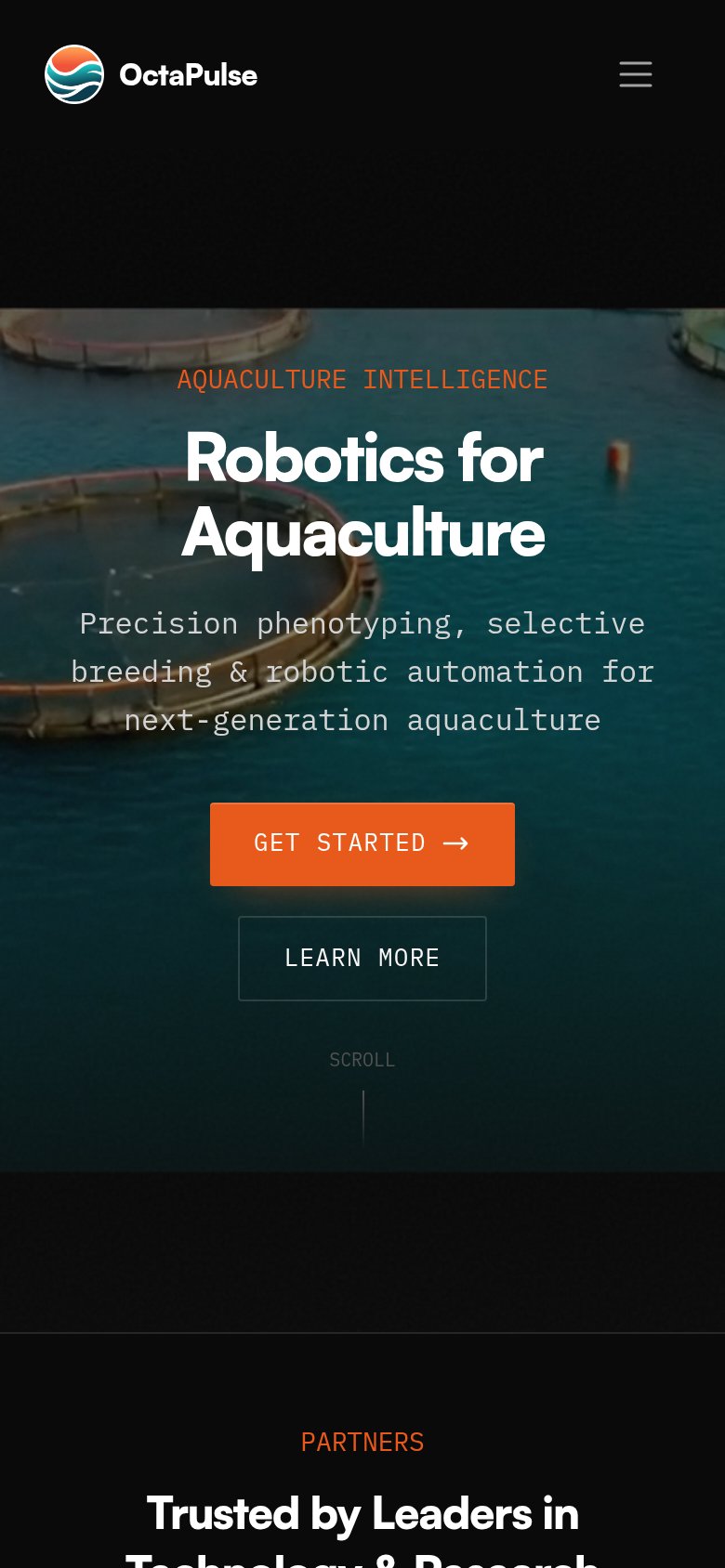 Mobile web annotations on the mobile capture