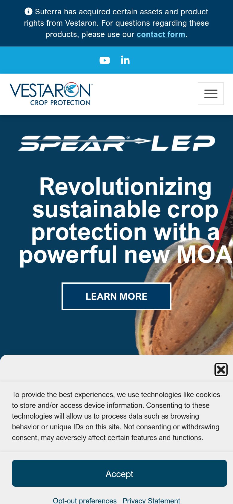 Vestaron mobile capture for Mobile web