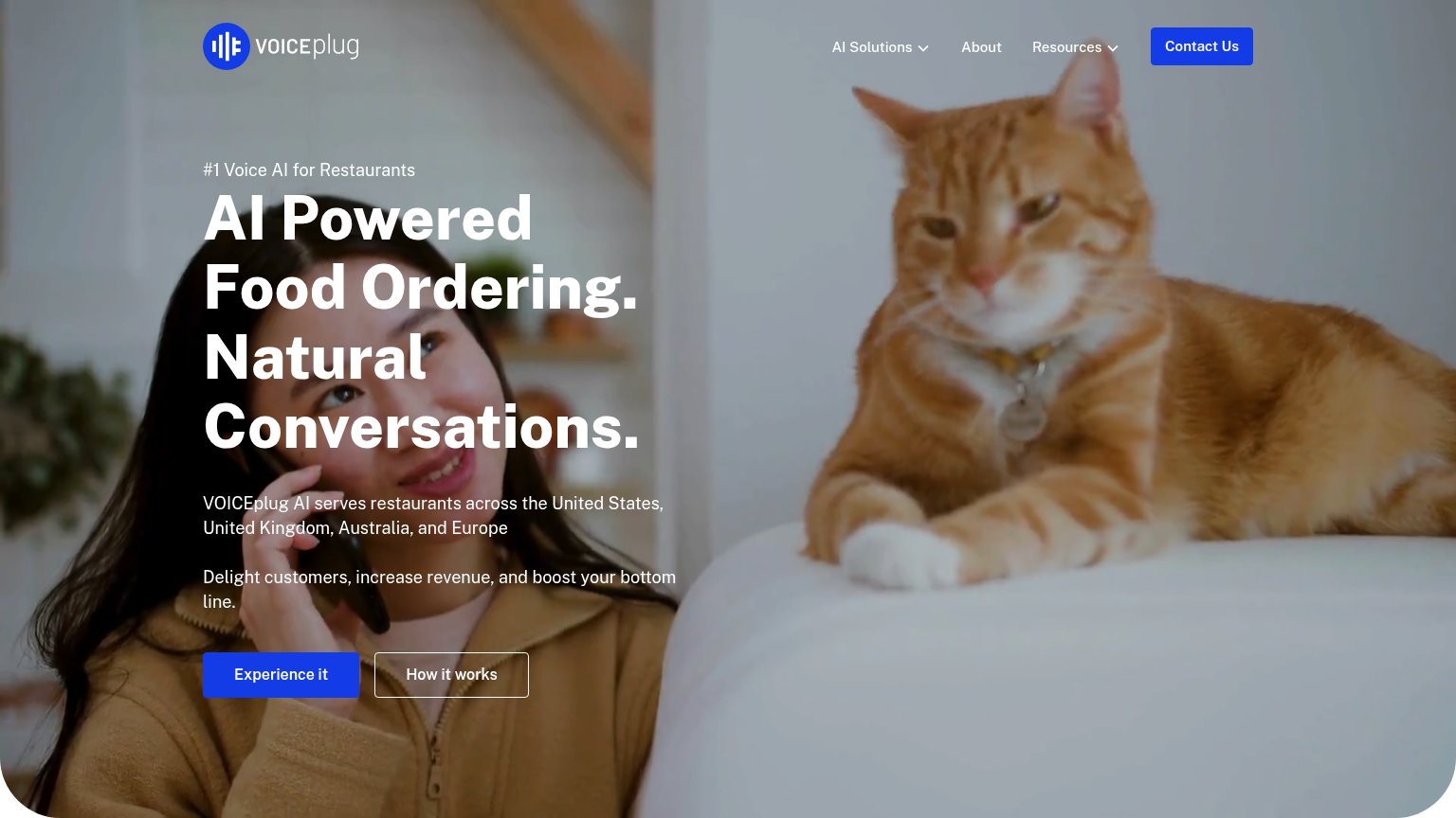 VOICEplug AI desktop capture for Information hierarchy